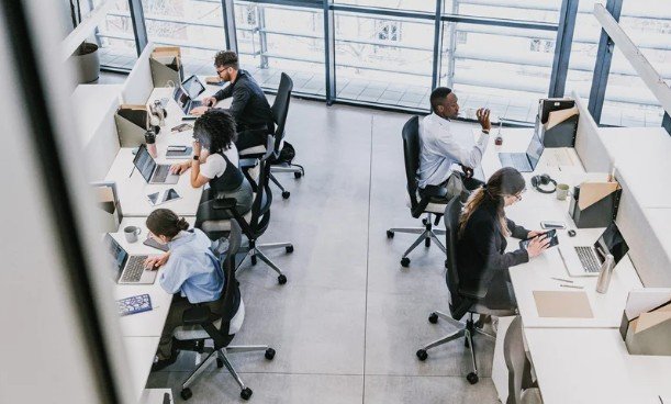 The Right to Information and Training