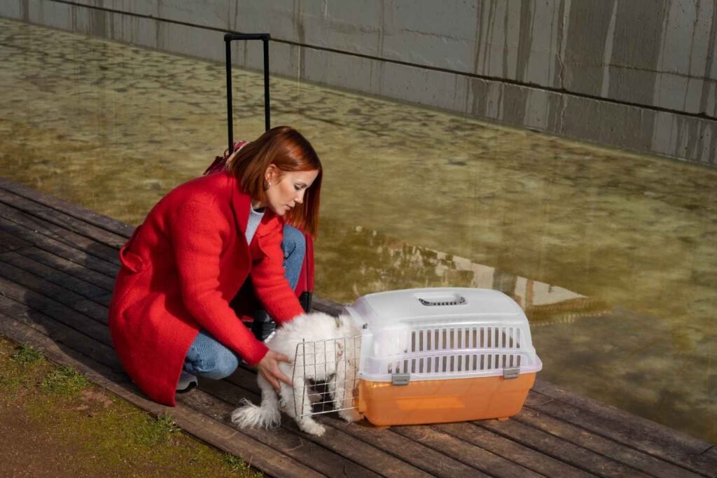 Pet Evacuation Kit Checklist for Hurricane Season