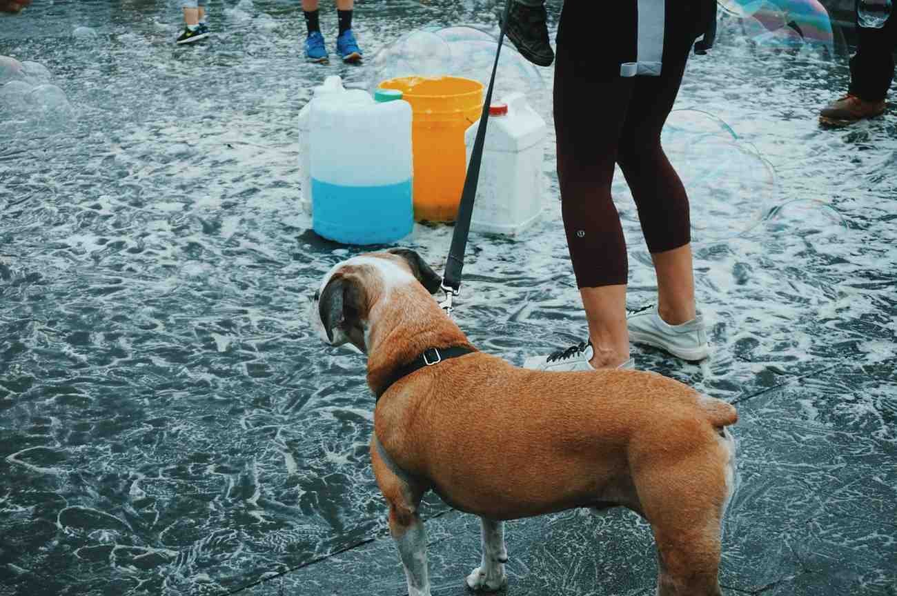 What Should I Do Before and After Evacuating?